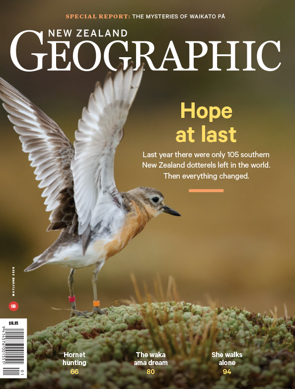 Issue 199 May - Jun 2026